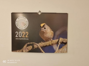 Kalendarze 2022!
