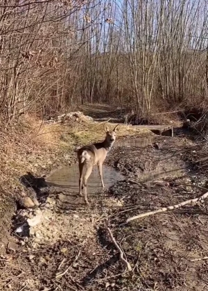 Niełatwe interwencje i patowe sytuacje